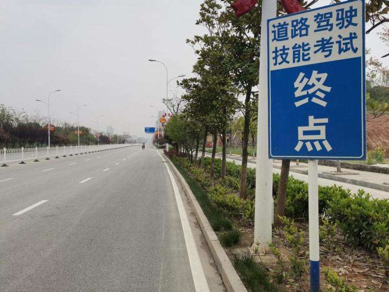 Facebook里的评论怎么翻译？实用技巧与工具